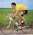 Eddy Merckx in maglia gialla