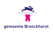 Vlag van de gemeente Bronckhorst