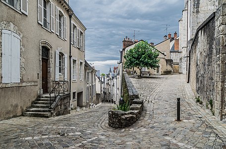 "Rue_des_Papegaults_and_Petit_Degres_Saint-Louis_in_Blois.jpg" by User:Tournasol7