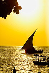 Zanzibar sail