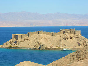 Saladin's Citadel