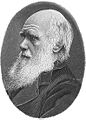 Charles Darwin, skiantour