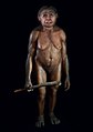 Homo floresiensis mwanamke