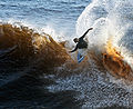 En surfer ud for Santa Cruz (Californien). Havtemperaturen der kræver brug af våddragt.