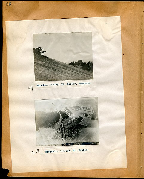 File:Chase album, 1898, 1903, and undated (Page 36) BHL46399480.jpg