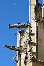 Gargoyles of Notre-Dame-des-Marais church - La Ferté-Bernard, Sarthe, France