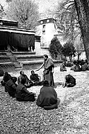 Монахи під час інтенсивної дискусії
