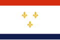 דגל ניו אורלינס