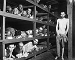 Jiddesch Zwangsaarbechter am KZ Buchenwald no der Befreiung duerch d'Amerikaner (1945)
