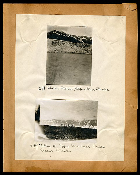 File:Chase album, 1898, 1903, and undated (Page 1) BHL46399515.jpg