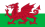 Bandiera della nazione Galles