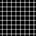 لاحظ أن نقاطا سوداء تظهر وتختفي على الدوائر البيضاء.