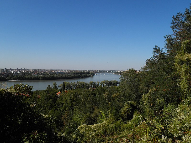 File:Panorama Novovg Sada - panoramio.jpg