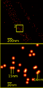 Détection de la molécule YFP dans une cellule cancéreuse humaine, à une échelle nanométrique.