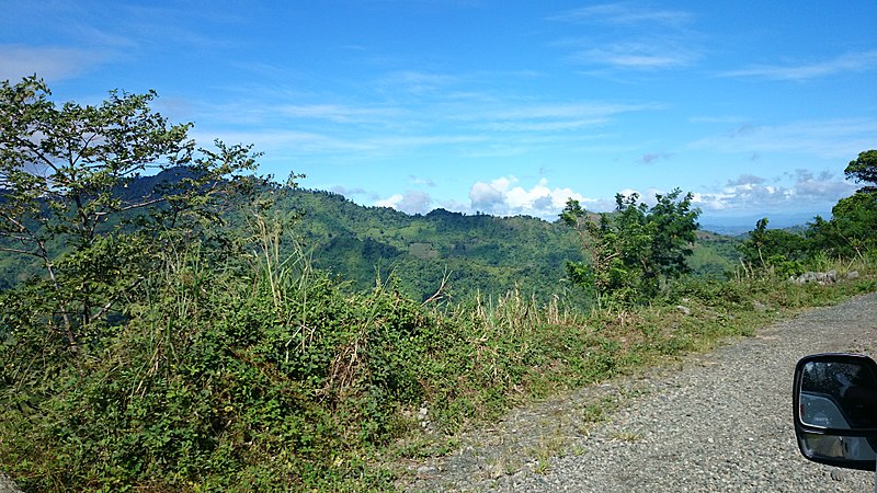File:Talaingod-San Fernando Road - panoramio (7).jpg