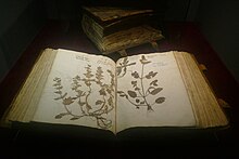 Foto eines aufgeschlagenen, dicken Buch, mit ganzen Pflanzen mit Wurzelwerk auf den beiden offenen Seiten. Der Hintergrund ist dunkel, man kann undeutlich noch ein zweites noch dickeres Buch erkennen, das nicht aufgeschlagen hinter dem ersten liegt.