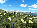 Prati verdi ,fiori ,montagne e cielo azzurro, cosa volere di piu - panoramio.jpg4 000 × 3 000; 4,85 MB