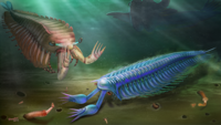 Life reconstruction of Fortiforceps (left) and Sklerolibyon (right)