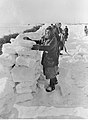 Budowa muru ze śniegu (wzdłuż drogi) przez kobiety z okolic Demjańska