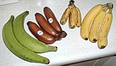 Négy különböző banánvariáns. Mai formájuk 7-10 ezer év szelektív tenyésztésének eredménye[154]