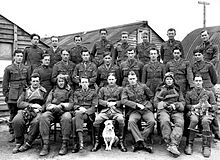 Portrait of twenty-four men in military uniforms and flying suits, with a dog sitting in foreground and a cat on one man's lap