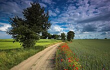 Krajna landscape Poland.jpg