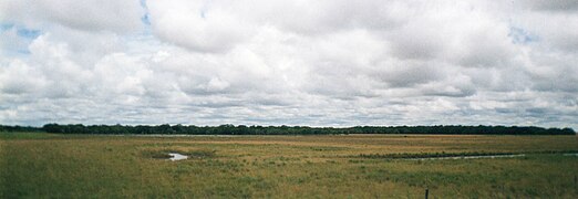 The flat, expansive Llanos