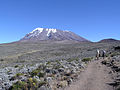 Le Kilimandjaro.
