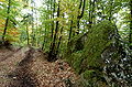 English: One of five rock alcoves on the forest track beneath the Skarbin Deutsch: Eine von fünf Felsnischen auf dem Waldweg unter dem Skarbin
