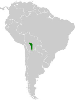 Distribución geográfica de la monterita boliviana.