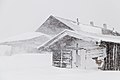 2.2 - 8.2: Ina cufla il 28 da december 2012 a Niederau, Tirol.