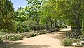 Arboretum Carambolo, Camas, Španjolska