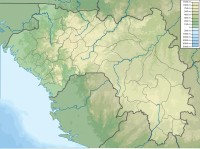 Mamou (Steed) (Guinea)