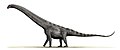 Argentinosaurus um saurópode