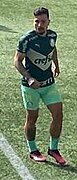 Artur-Palmeiras-Cuiaba-abr2023-02.jpg