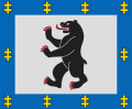 Šiaulių apskrities vėliava