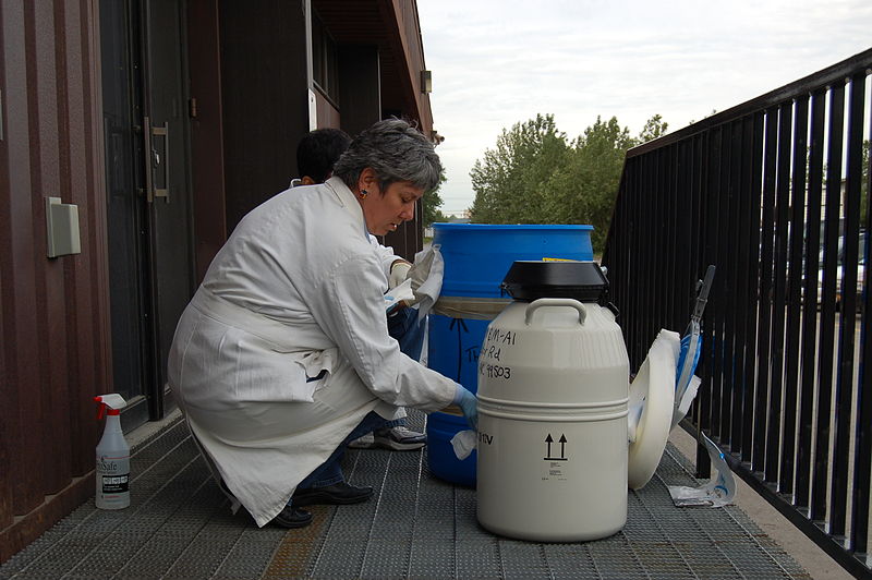 File:Avian influenza sampling-cleaning containers at Anchorage lab.jpg