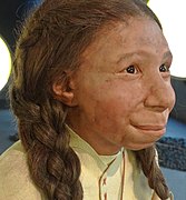 Un reconstruction del Homo neanderthalensis