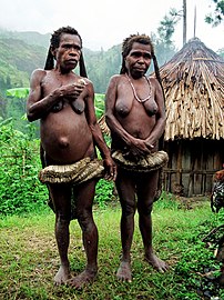 Papuasės iš Indonezijos Vakarų Papua provincijos