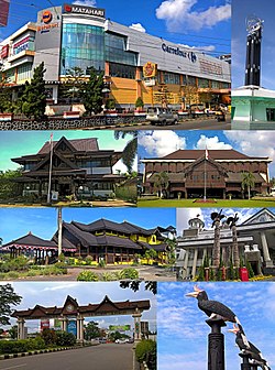 Dari atas, kiri ke kanan: Tempat perbelanjaan di Pontianak, Monumen Khatulistiwa Pontianak, Beberapa gedung pemerintah resmi, Rumah Melayu Pontianak Patung Burung Tradisional Kalimantan, Gerbang Jalan Kota Pontianak, Patung Enggang Badak.