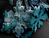 47: Pahulja snijega povećana elektronskim mikroskopom