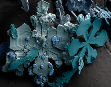 کریستال برف زیر میکروسکوپ الکترونی