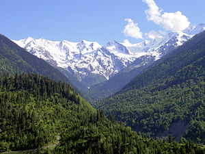 Sommar i georgiska området Svanetien i Kaukasus