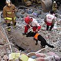 A search and rescue dog searches for victims in the debris of a collapsed building in Tehran