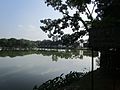 Amai Pond at Haripur Upazila Parishad