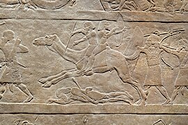 Assyrians pursue Arabs on camelback. Ashurbanipal, North Palace of Nineveh. 660-650 BCE.jpg