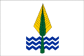 Bendera Kegubernuran Wadi al-Jadid
