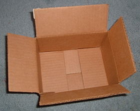 Kartonska kutija