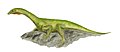 Protorosaurus Um réptil sauropsídeo Comprimento: 2 m
