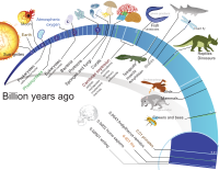 生命進化時間線